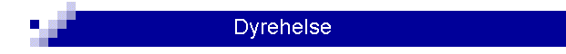 Dyrehelse